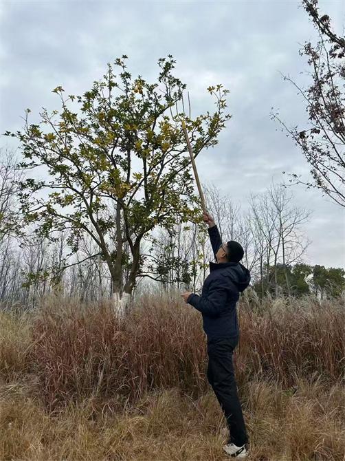 微信图片_20251205094028_319_450