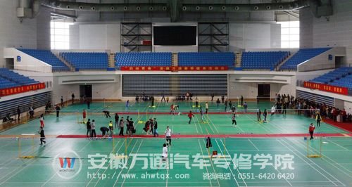 羽毛球比赛现场