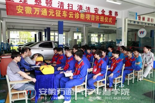 30名学生将经历20个课时的培训