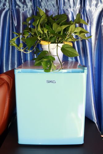 5、车厢内冰箱、空调、绿植一应俱全，打造居家般的舒适