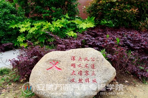 五德管理铸就高尚医德